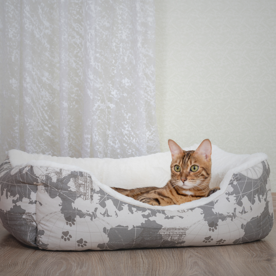 Bedding