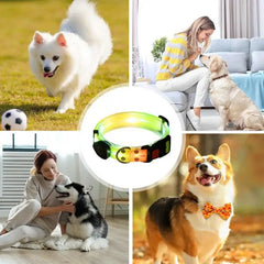 LED Light Up Dog Collar - Adjustable Glowing Reflective Pet Collar with 3 Modes
