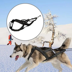 Sled Dog Sledge Reflective Harness for Mushing & Training