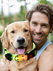 LED Light Up Dog Collar - Adjustable Glowing Reflective Pet Collar with 3 Modes