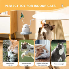4-in-1 Rechargeable Automatic Cat Toy – Interactive Hide & Seek Exercise