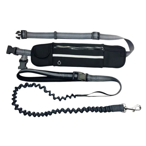 Hands-Free Dog Leash with Zipper Pouch & Reflective Bungee for Medium to Large Dogs