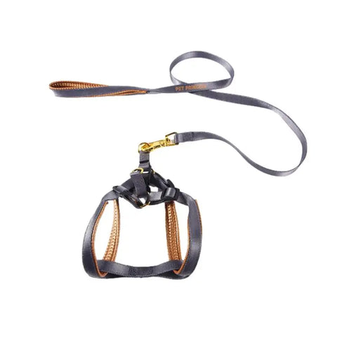 No Pull Dog Leash & Harness Set – Adjustable Nylon Harness with Anti-Breakaway 2 Buckles & Secure Leash