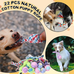 Syhood 60 Pcs Squeaky Dog Toys Bulk - Plush & Rope Chew Toys for Small Puppies