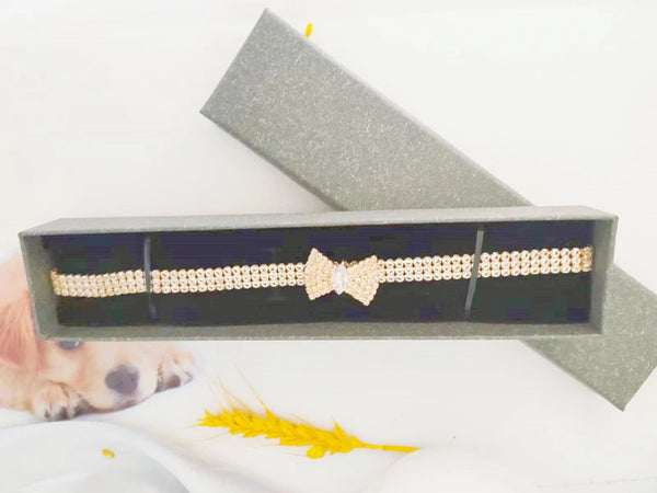 Zircon Bow Tie Chihuahua Dog Collar