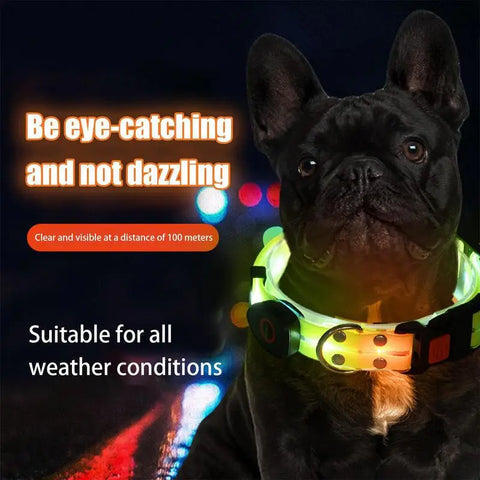 LED Light Up Dog Collar - Adjustable Glowing Reflective Pet Collar with 3 Modes