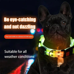 LED Light Up Dog Collar - Adjustable Glowing Reflective Pet Collar with 3 Modes