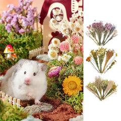 Nature Flower Herb Hamster Bedding & Habitat Decor for Small Pets
