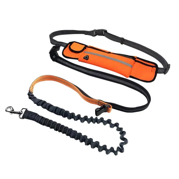Hands-Free Dog Leash with Zipper Pouch & Reflective Bungee for Medium to Large Dogs