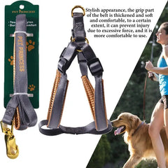 No Pull Dog Leash & Harness Set – Adjustable Nylon Harness with Anti-Breakaway 2 Buckles & Secure Leash