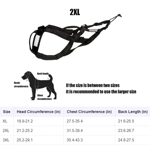 Sled Dog Sledge Reflective Harness for Mushing & Training