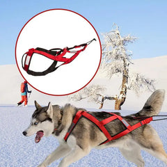 Sled Dog Sledge Reflective Harness for Mushing & Training