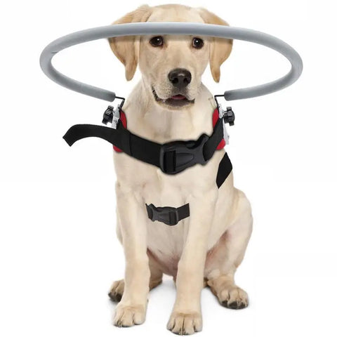 Blind Dog Harness Guiding Device - Anti-Collision Halo Vest for Blind Dogs & Cats