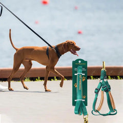 No Pull Dog Leash & Harness Set – Adjustable Nylon Harness with Anti-Breakaway 2 Buckles & Secure Leash