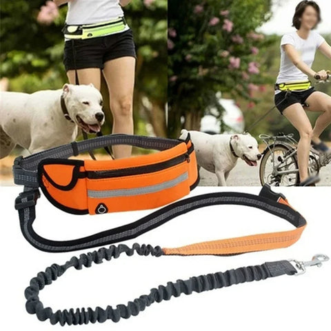 Hands-Free Dog Leash with Zipper Pouch & Reflective Bungee for Medium to Large Dogs