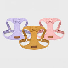 Soft Breathable Dog Collar Harness Leash Set for Small Pets