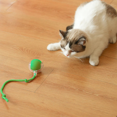 Electric Toy Cat Interactive Ball - Automatic Rolling Rechargeable Anti-Depression Pet Toy