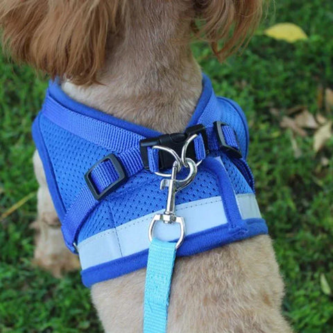 Adjustable Mesh Vest Dog Harness