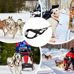 Sled Dog Sledge Reflective Harness for Mushing & Training