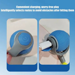 Interactive Moving Cat & Dog Ball Toy - Smart Rolling & Bite-Resistant