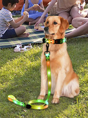 LED Light Up Dog Collar - Adjustable Glowing Reflective Pet Collar with 3 Modes