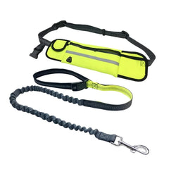 Hands-Free Dog Leash with Zipper Pouch & Reflective Bungee for Medium to Large Dogs