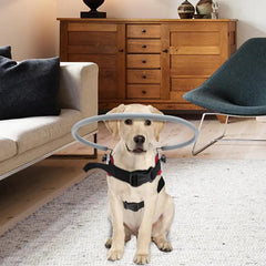 Blind Dog Harness Guiding Device - Anti-Collision Halo Vest for Blind Dogs & Cats