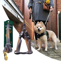No Pull Dog Leash & Harness Set – Adjustable Nylon Harness with Anti-Breakaway 2 Buckles & Secure Leash