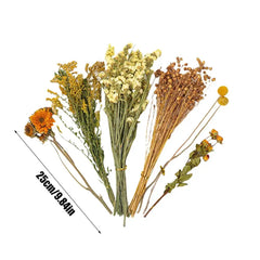 Nature Flower Herb Hamster Bedding & Habitat Decor for Small Pets