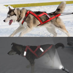 Sled Dog Sledge Reflective Harness for Mushing & Training