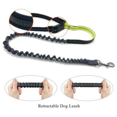 Hands-Free Dog Leash with Zipper Pouch & Reflective Bungee for Medium to Large Dogs