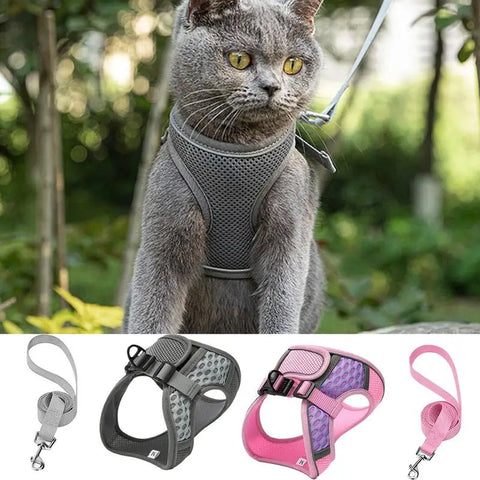 Pet Harness with Leash | Reflective Mesh Pet Vest for Cats & Kittens