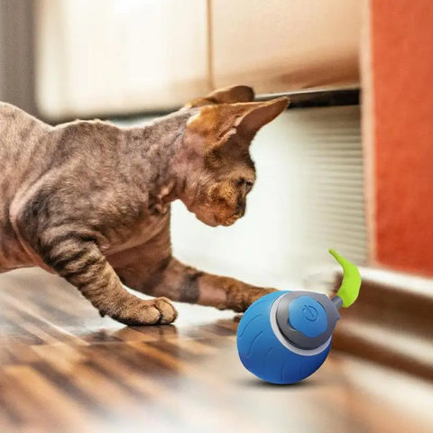 Interactive Moving Cat & Dog Ball Toy - Smart Rolling & Bite-Resistant